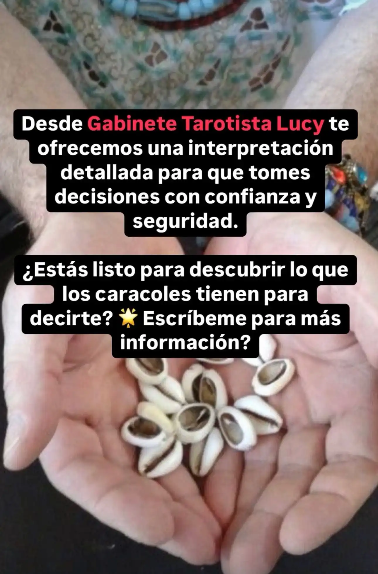 Caracoles en la playa